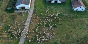 Trouw Nutrition’dan Türkiye’ye Sıfır Emisyonlu Üretim Tesisi Yatırımı